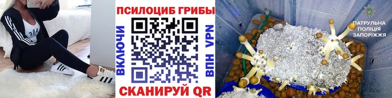 Псилоцибиновые грибы ЛСД купить наркотики сайты Котовск
